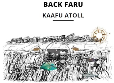 Back Faru